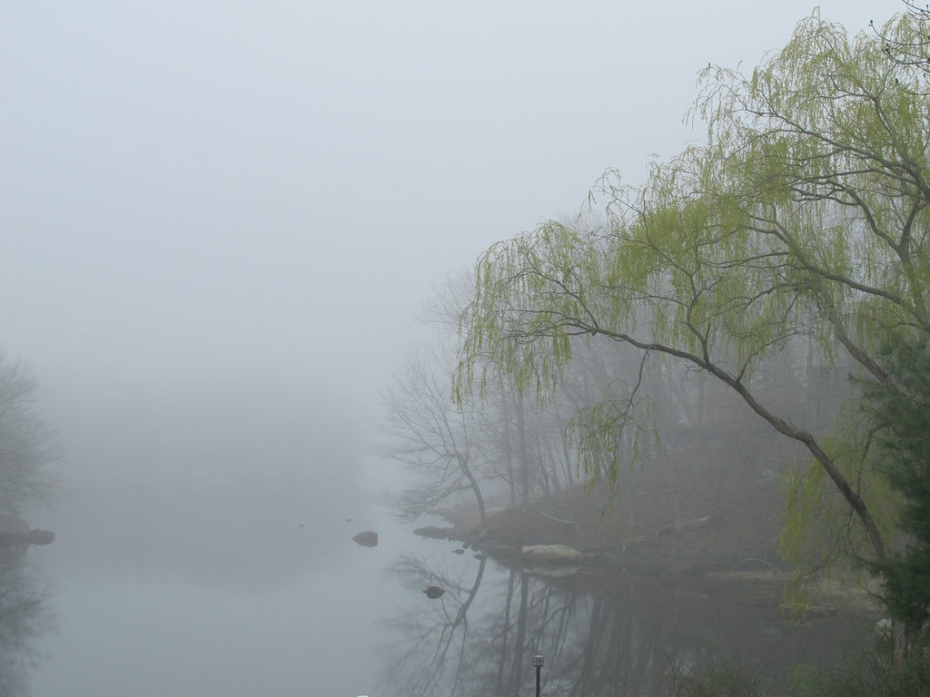 Весенний туман